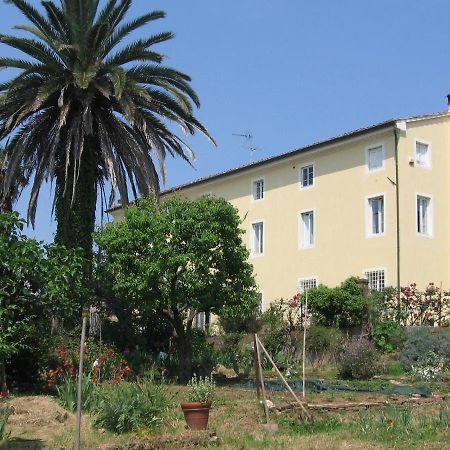 Bed and Breakfast Casa Marce A "Sonno" Porcari Zewnętrze zdjęcie