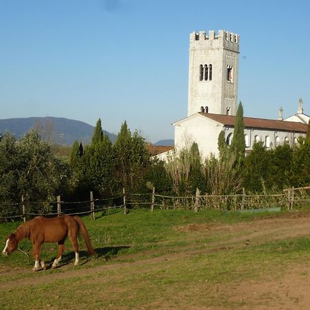 Bed and Breakfast Casa Marce A "Sonno" Porcari Zewnętrze zdjęcie