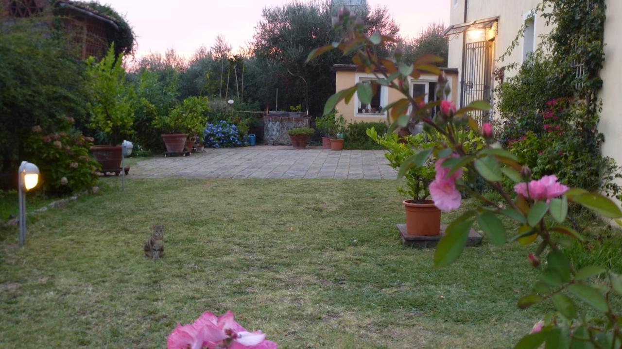 Bed and Breakfast Casa Marce A "Sonno" Porcari Zewnętrze zdjęcie